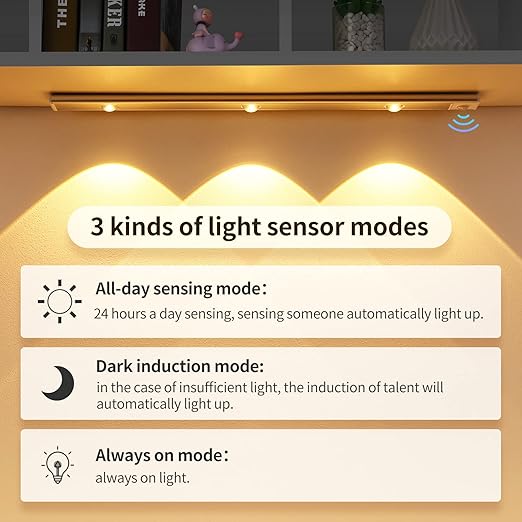 Motion Sensor LED Light